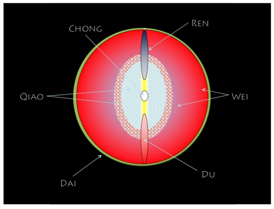 The Power of the Moebius in Activating the 8 Extraordinary